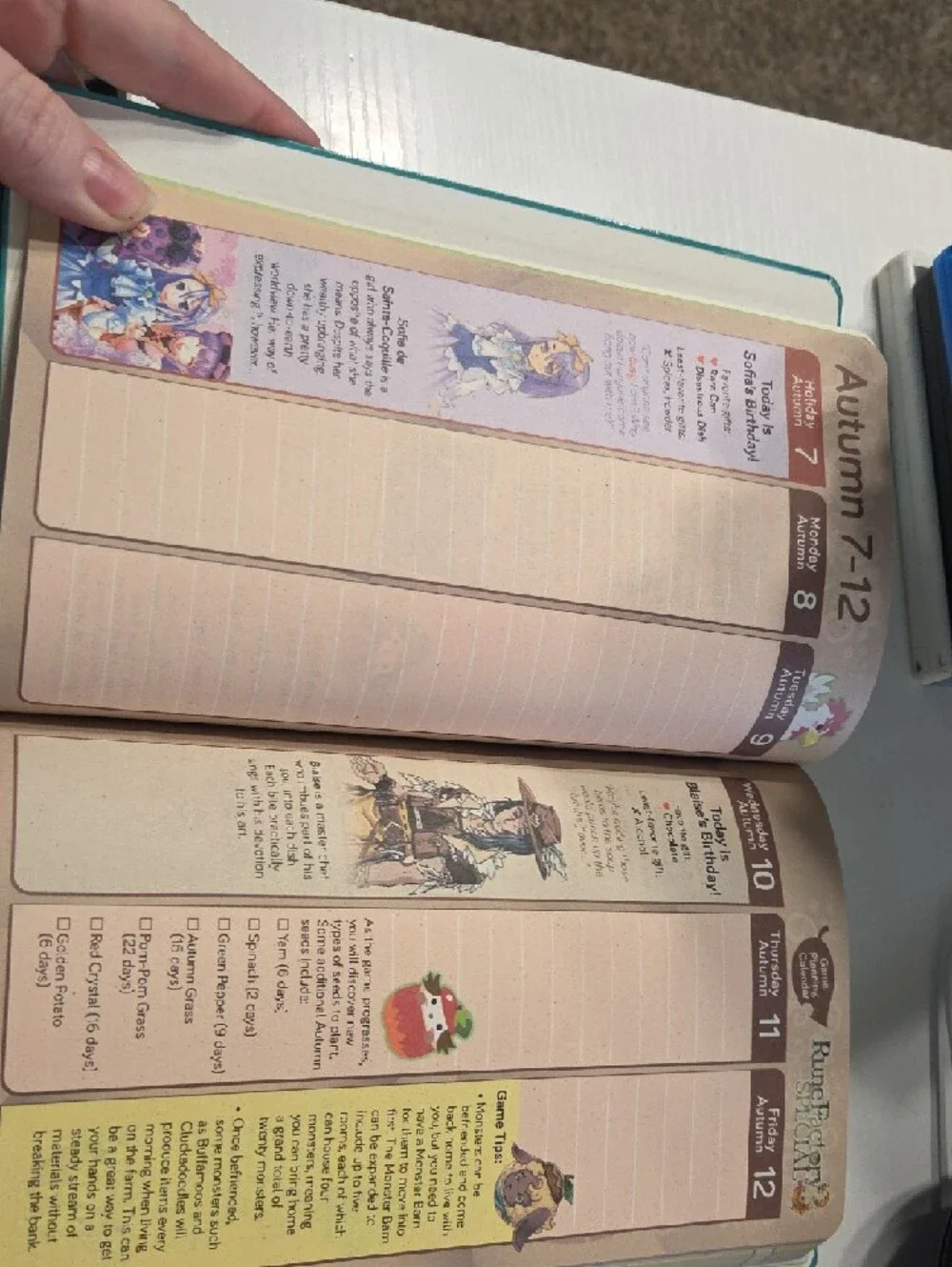 Rune Factory 3 Special Season Planner - Teal Character Cover